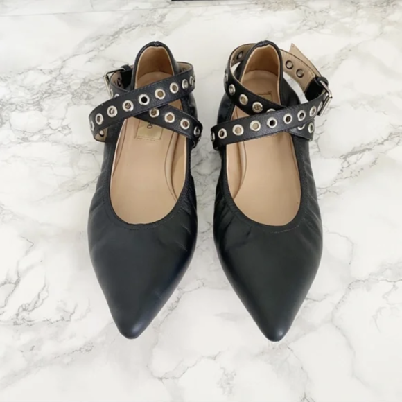 Pointed Toe Ballet Flats